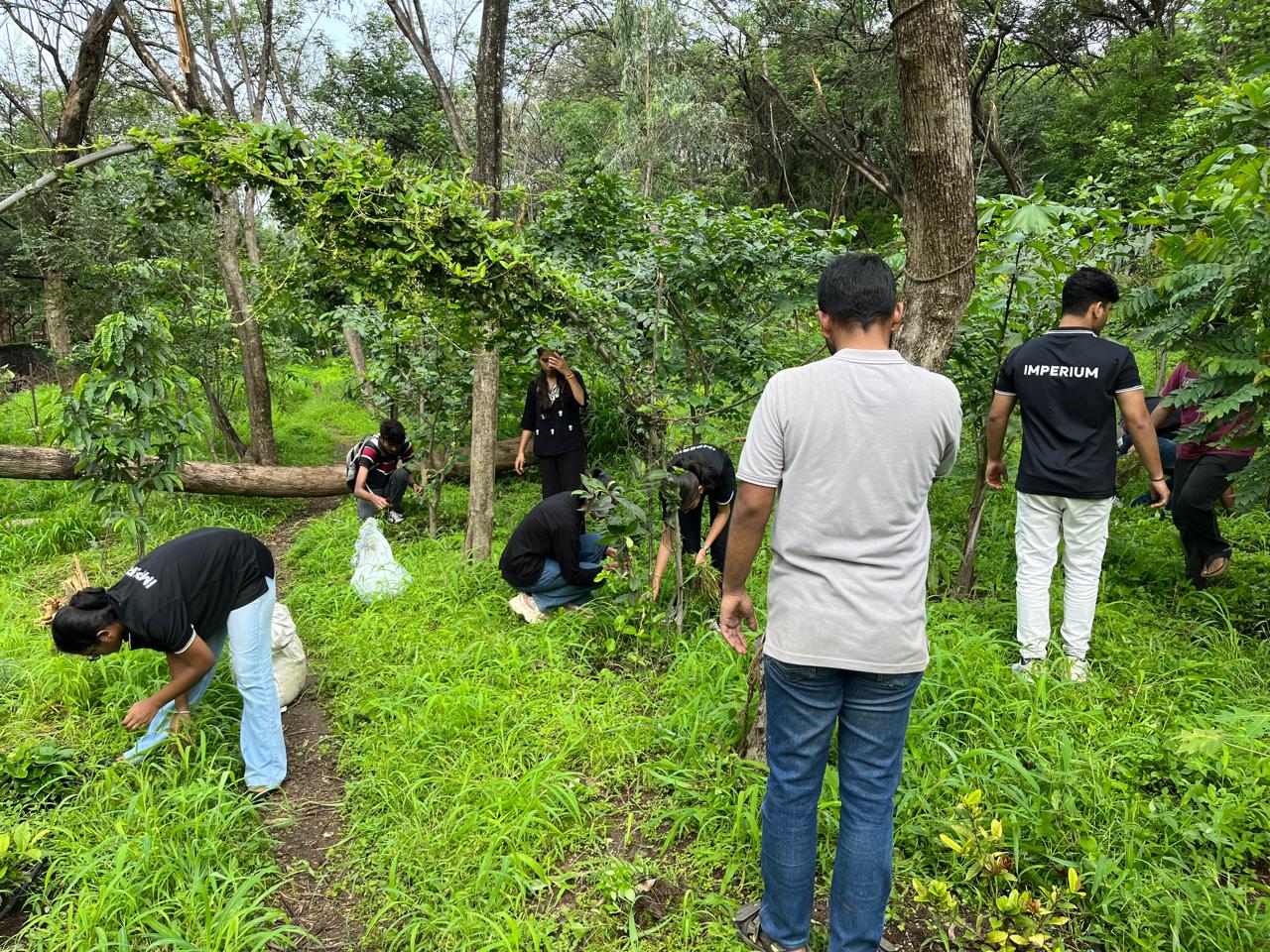 Tree Plantation ( SUNCITY CHAROLI )